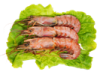 Seafood